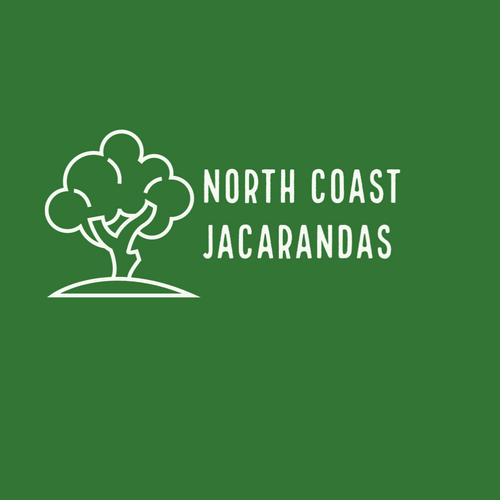 North Coast Jacarandas